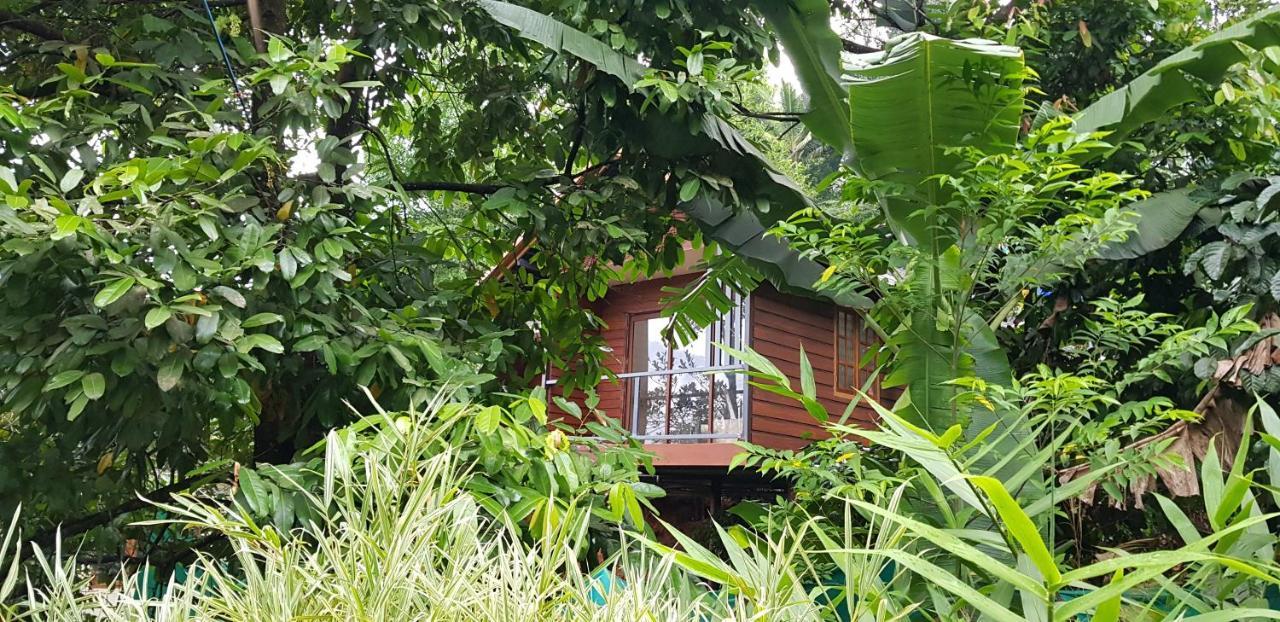 Wayanad Doubletree Villa 비티리 외부 사진