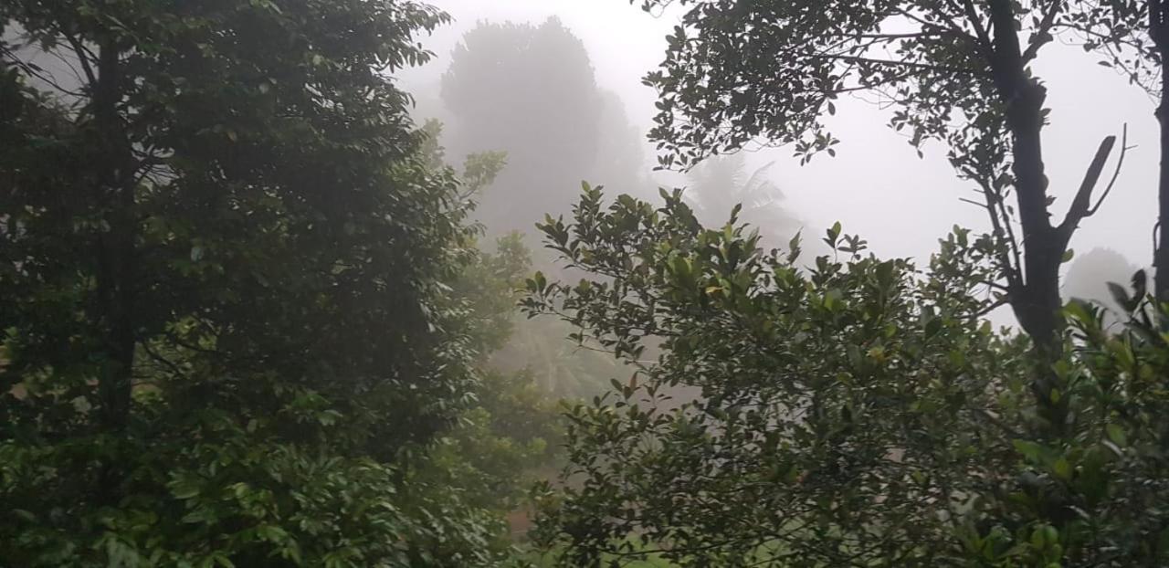 Wayanad Doubletree Villa 비티리 외부 사진