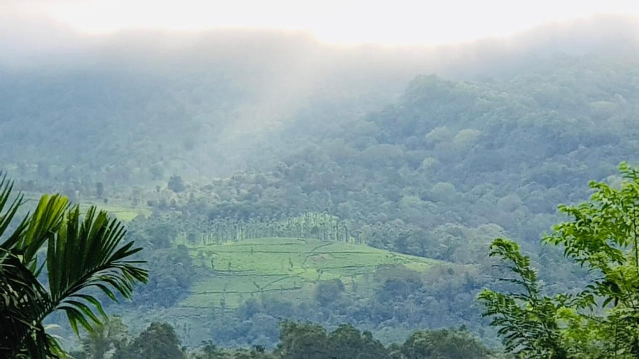 Wayanad Doubletree Villa 비티리 외부 사진