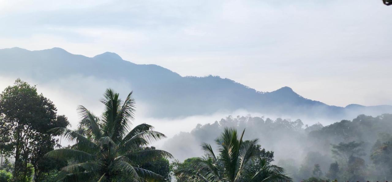 Wayanad Doubletree Villa 비티리 외부 사진